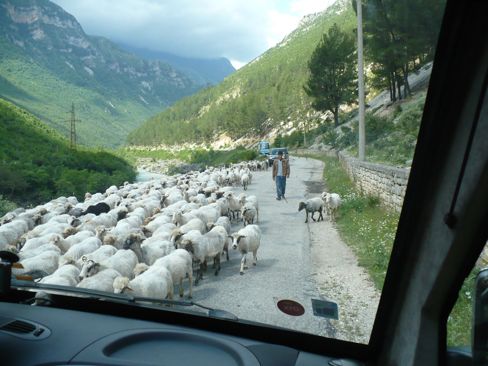 Im albanischen Gebirge gibt es oft vierbeinige Verkehrsteilnehmer - Lupe Reisen