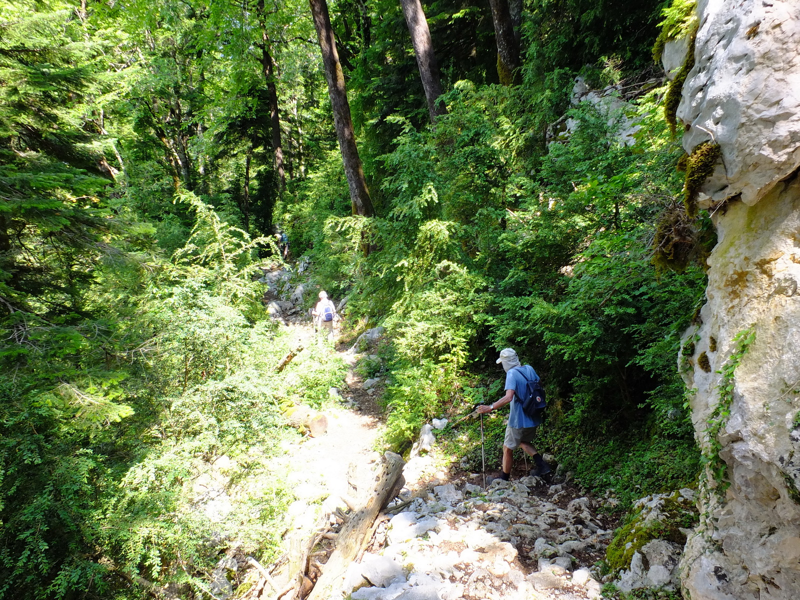 Auf der Landseite des Llogara-Passes wird die Wandergruppe von ppiger Vegetation empfangen - Lupe Reisen